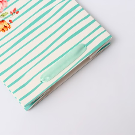 Laminated "Strips" package, MS 18 × 23 × 10 cm-2