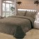 A set with a "ceremonies" bedspread: size 160x220 cm, 50x70 cm - 1 pc, beige color