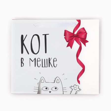 Gift Laminated horizontal package, packaging, “Cat in a bag”, Ml 23 x 27 x 11.5 cm-5