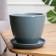 Flower-gray flower pot, 1 liter