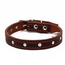 The leather collar 