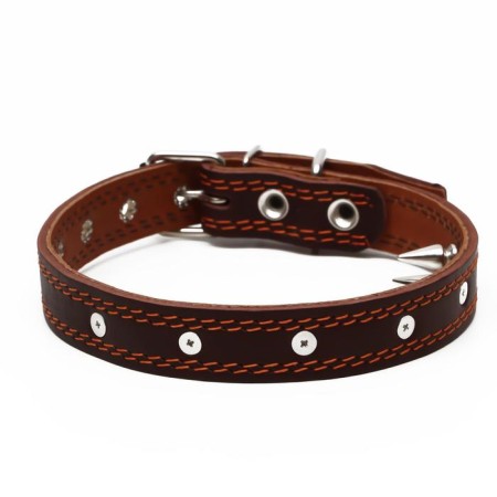 The leather collar "strict spike", 56 x 2.5 cm, Osh 35-45 cm, brown