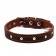 The leather collar "strict spike", 56 x 2.5 cm, Osh 35-45 cm, brown