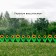 Decorative fence, 32.5 × 225 cm, 5 sections, plastic, yellow flower "Chamomile"