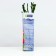 Rosa Rosa Andante Spring 2024, 1 pc.