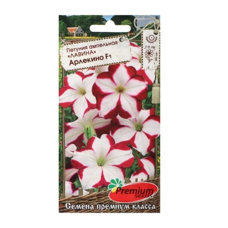 Petunia flowers ampel avalanche hacksino f1, o, 10pcs-3