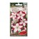 Petunia flowers ampel avalanche hacksino f1, o, 10pcs