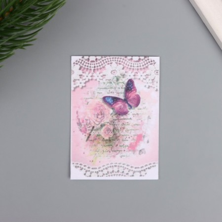 Postcard with seeds "grow itself" "butterfly" 5*7cm