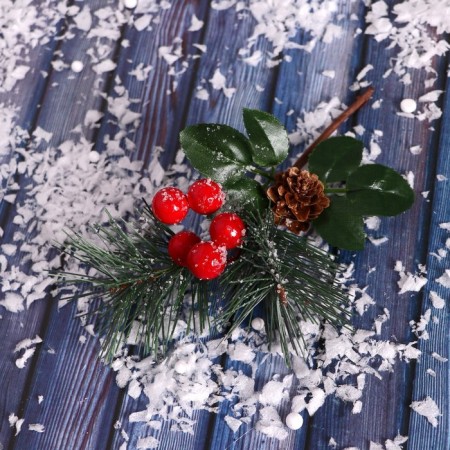 Decor "Winter charm" bump with berries of hook 19 cm