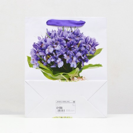 Laminated package, 26 x 32 x 12 cm-1