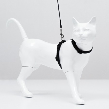 Kit for cats, width 1 cm, Osh 16.5-27 cm, fire 21-35 cm, leash 120 cm, black-3