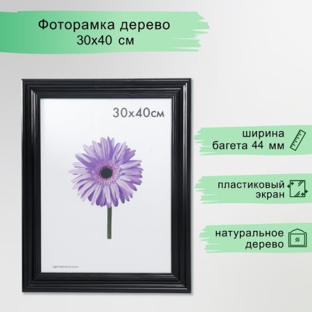 Photo frame Liza 30x40 cm black (plastic screen)