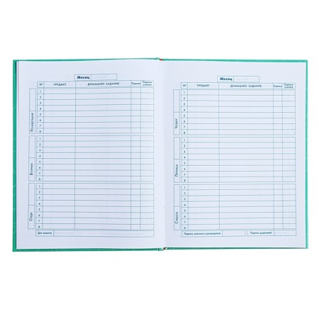 Diary for grades 1-4, 48 sheets "cat pranks", hard cover, glossy lamination, foil embossing-7