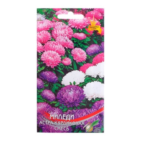 Flowers of the Astra dwarf "Milady" mixture, o, 90 pcs