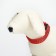 Collar with backlight leopard 3 glow modes Size S, Osh 22-40 x 2.5 cm red red
