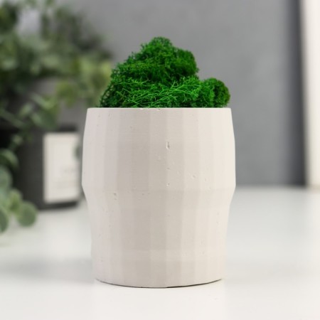 Kashpo Concrete "Head" with moss height 8.5 cm white (moss green stabilized)-3