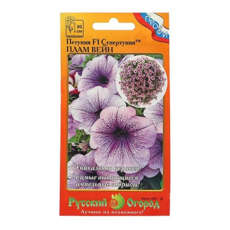 Flowers of Petunia Super Tunia "Plam Wein" F1, 6 pcs