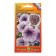 Flowers of Petunia Super Tunia "Plam Wein" F1, 6 pcs