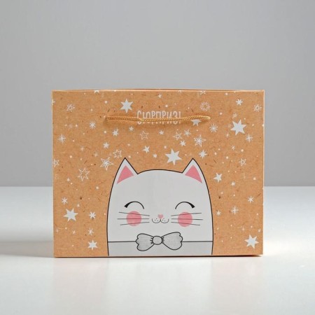 Package - Surprise! ", 23 x18 x11 cm-1