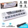 Synthesizer "Musician" with a microphone, 49 keys, works on a network and from batteries