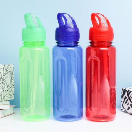 Water bottle, 650 ml, Baraolet, with a drinker, 24 x 7 cm, mix