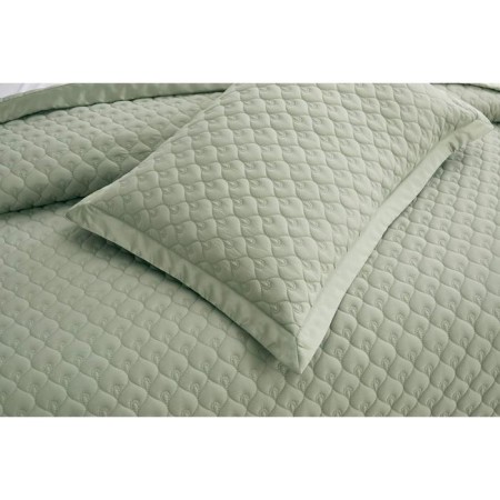 A set with a blanket "Roxalan", size 160x220 cm, 50x70 cm, olive color-5