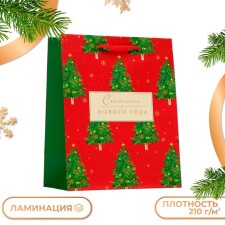 Gift Package 