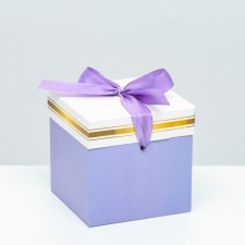 Self -charged purple box 10x10x10 cm