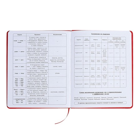 The universal diary for the 1-11 classes "Anime", a solid cover made of artificial leather, application, lies, 48 ​​sheets, red-10