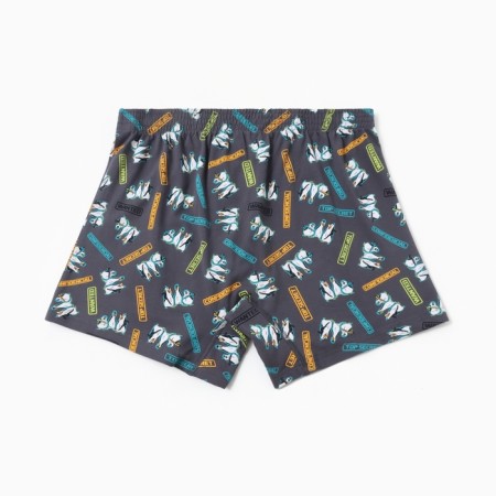 Panties men's boxers, Penguin color/Gray, Rr. 54 (XXL)-2