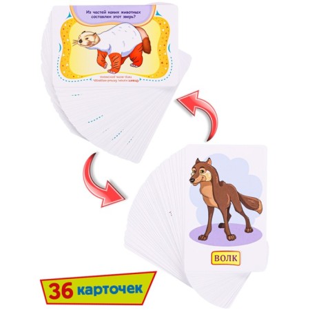 The board game "First knowledge. Animals of Russia "-3