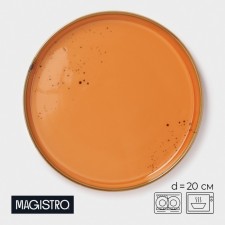 Porcelain plate with a magistro 