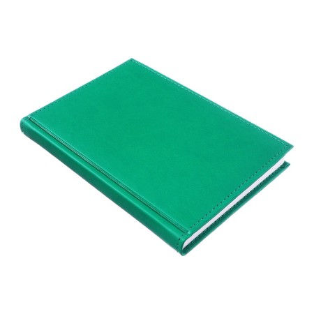 Deliciper of Leduced A5, 160 Vivevella sheets, artificial leather cover, light green-11