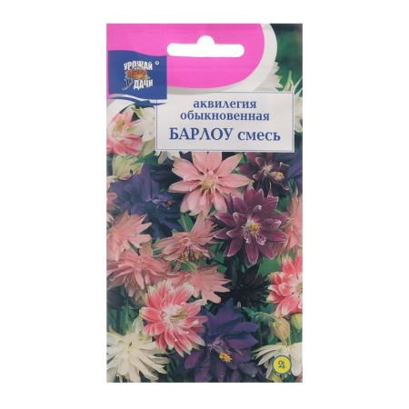Flowers Aquilegia "Barlow mixture", 0.05 g