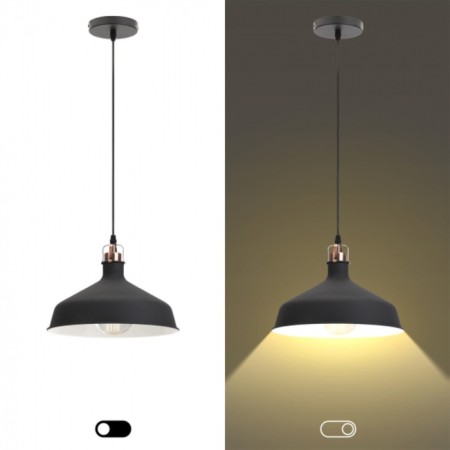 Suspended PL2 BK/RC Metal, E27, Max 60W-3