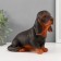 Figure "Dachshund" height 17.5 cm, width 10 cm, length 23 cm