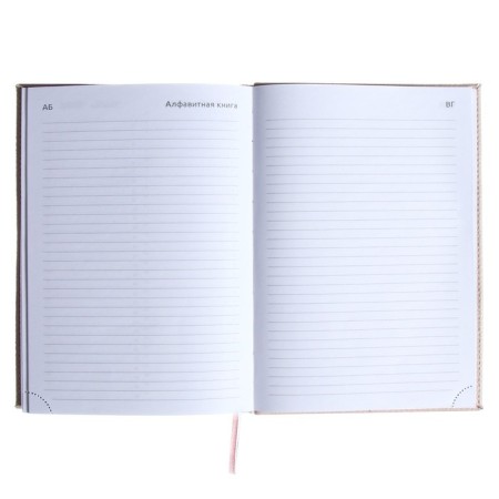 Leduced A5 diary A5, 160 sheets, Devente.contea, firm cover of artificial leather with foam rubber, pink-8