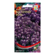 Alissum flowers 