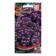 Alissum flowers "Eastern Night", 70pcs