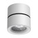 Groda lamp, 25W LED, 4000K, 2200LM, white color