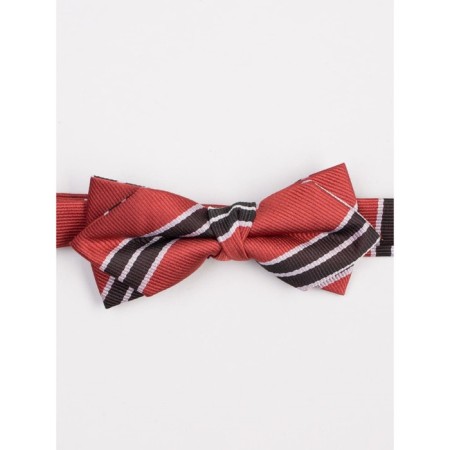 Tie-butter for boys ise, red color-1