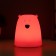 Nightlight "Antistress Cyaksh Bear" Led RGB from batteries 3AAA 9x9x10.5 cm Risalux