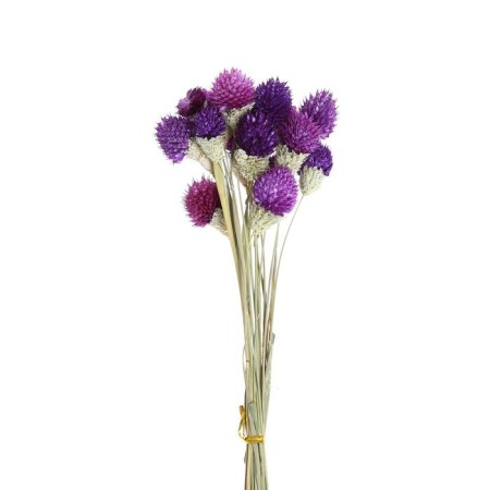 Sukhotzet "Gofreni Sherrovid" set 20 pcs., Color dark violet-3