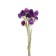 Sukhotzet "Gofreni Sherrovid" set 20 pcs., Color dark violet