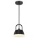 Gonna lamp, 1x10W LED, 4000K, 500LM, IP54, black color