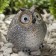 Lamp Garden era on the sunny battery "Owl Gray" LED, IP54