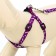 Set "Classic", leash 120 x 1 cm, fire 28-47 cm, purple