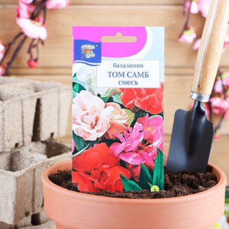 Balzamin Flowers "Tom Samb", a mixture, 0.2 g