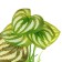 Artificial aquarium plant, 10.5 x 10.5 x 14 cm