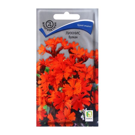 Flower seeds Lichnis volcano, 0.1 gr